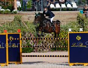 DA RIOS ULTIMATE CampITA2013- S5 8914 : Campionati Italiani 2013, Cattolica, DA RIOS AUGUSTO, Horse Riviera Resort, ULTIMATE, foto di Stefano Secchi ©